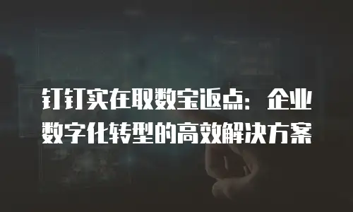 钉钉实在取数宝返点：企业数字化转型的高效解决方案