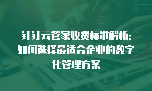 钉钉云管家收费标准解析：如何选择最适合企业的数字化管理方案