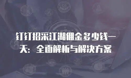 钉钉招采江湖佣金多少钱一天：全面解析与解决方案