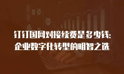 钉钉国网对接续费是多少钱：企业数字化转型的明智之选