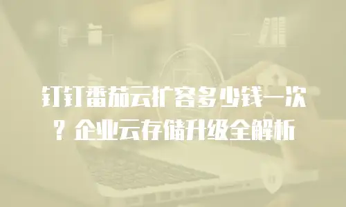 钉钉番茄云扩容多少钱一次？企业云存储升级全解析