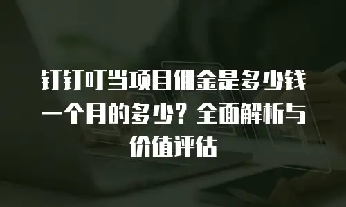 钉钉叮当项目佣金是多少钱一个月的多少？全面解析与价值评估