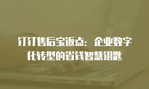 钉钉售后宝返点：企业数字化转型的省钱智慧钥匙