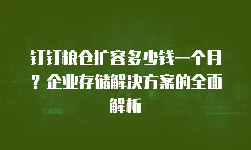 钉钉粮仓扩容多少钱一个月？企业存储解决方案的全面解析
