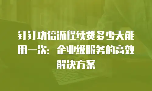 钉钉功倍流程续费多少天能用一次：企业级服务的高效解决方案