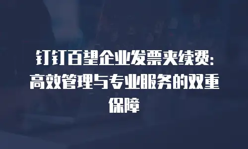 钉钉百望企业发票夹续费：高效管理与专业服务的双重保障