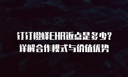 钉钉橙蜂EHR返点是多少？详解合作模式与价值优势