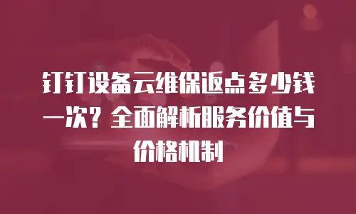 钉钉设备云维保返点多少钱一次？全面解析服务价值与价格机制