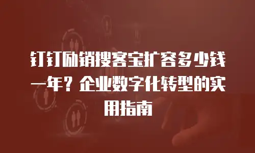 钉钉励销搜客宝扩容多少钱一年？企业数字化转型的实用指南
