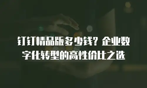 钉钉精品版多少钱？企业数字化转型的高性价比之选