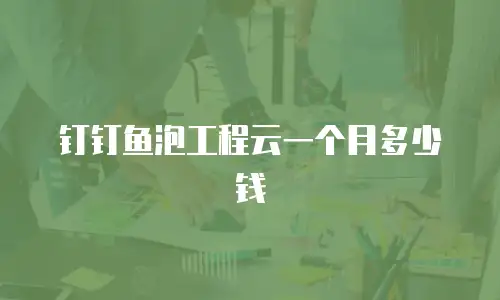 钉钉鱼泡工程云一个月多少钱