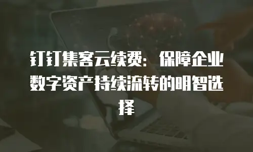 钉钉集客云续费：保障企业数字资产持续流转的明智选择