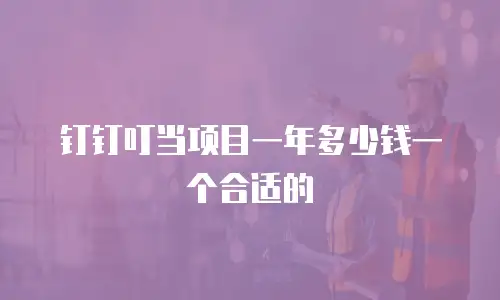 钉钉叮当项目一年多少钱一个合适的
