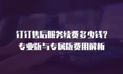 钉钉售后服务续费多少钱？专业版与专属版费用解析