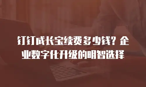 钉钉成长宝续费多少钱？企业数字化升级的明智选择