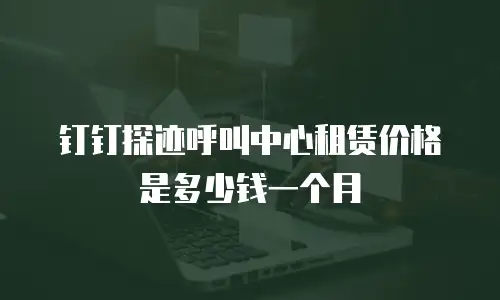 钉钉探迹呼叫中心租赁价格是多少钱一个月