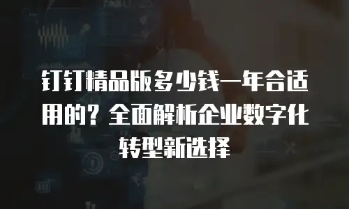 钉钉精品版多少钱一年合适用的？全面解析企业数字化转型新选择