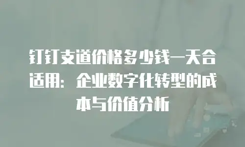 钉钉支道价格多少钱一天合适用：企业数字化转型的成本与价值分析