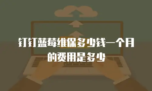 钉钉蓝莓维保多少钱一个月的费用是多少
