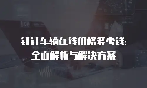 钉钉车辆在线价格多少钱：全面解析与解决方案