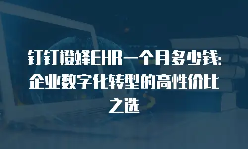 钉钉橙蜂EHR一个月多少钱：企业数字化转型的高性价比之选