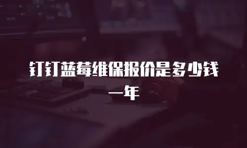 钉钉蓝莓维保报价是多少钱一年