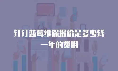 钉钉蓝莓维保报价是多少钱一年的费用