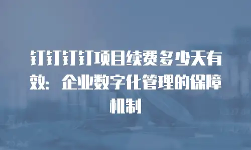 钉钉钉钉项目续费多少天有效：企业数字化管理的保障机制