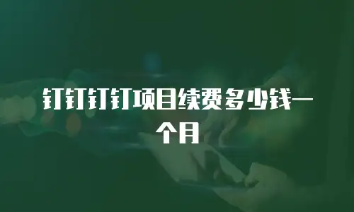 钉钉钉钉项目续费多少钱一个月
