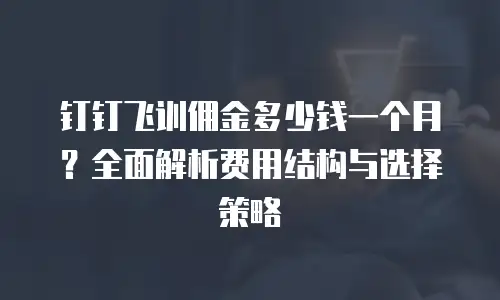 钉钉飞训佣金多少钱一个月？全面解析费用结构与选择策略