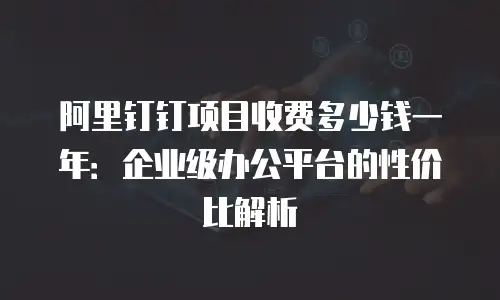 阿里钉钉项目收费多少钱一年：企业级办公平台的性价比解析
