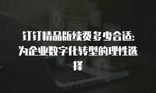 钉钉精品版续费多少合适：为企业数字化转型的理性选择