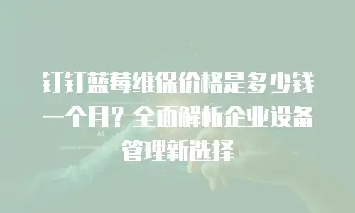 钉钉蓝莓维保价格是多少钱一个月？全面解析企业设备管理新选择