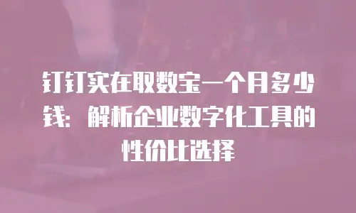 钉钉实在取数宝一个月多少钱：解析企业数字化工具的性价比选择