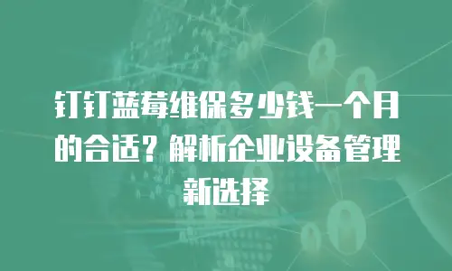 钉钉蓝莓维保多少钱一个月的合适？解析企业设备管理新选择