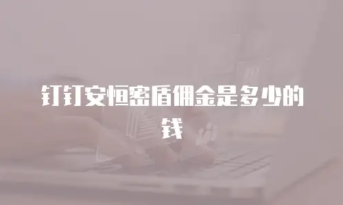 钉钉安恒密盾佣金是多少的钱