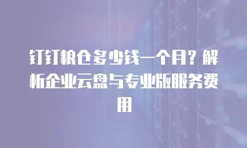 钉钉粮仓多少钱一个月？解析企业云盘与专业版服务费用