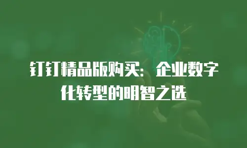 钉钉精品版购买：企业数字化转型的明智之选