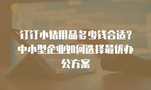 钉钉小猪用品多少钱合适？中小型企业如何选择最优办公方案