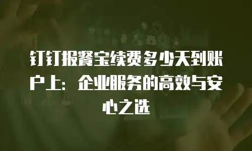 钉钉报餐宝续费多少天到账户上：企业服务的高效与安心之选