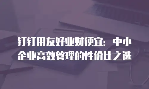 钉钉用友好业财便宜：中小企业高效管理的性价比之选
