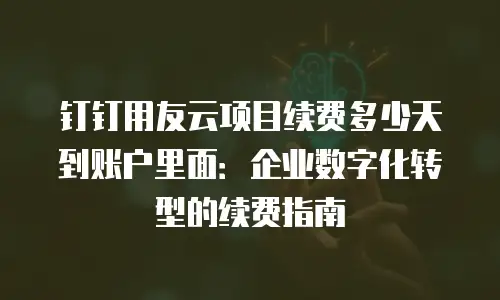 钉钉用友云项目续费多少天到账户里面：企业数字化转型的续费指南