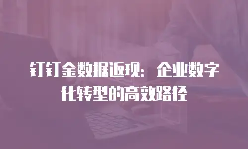 钉钉金数据返现：企业数字化转型的高效路径