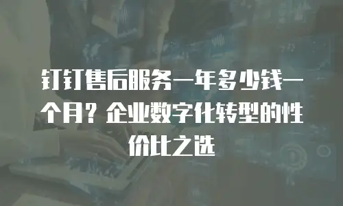 钉钉售后服务一年多少钱一个月？企业数字化转型的性价比之选