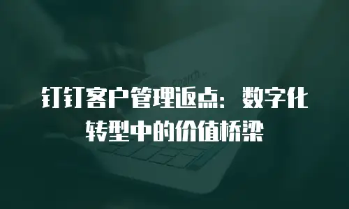 钉钉客户管理返点：数字化转型中的价值桥梁