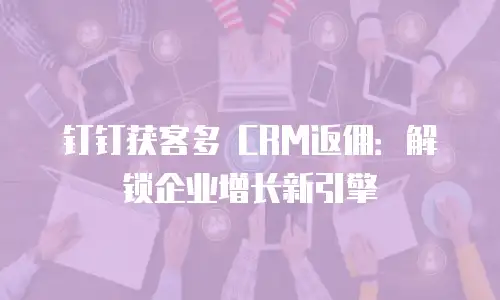 钉钉获客多 CRM返佣：解锁企业增长新引擎