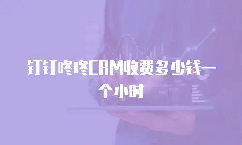 钉钉咚咚CRM收费多少钱一个小时