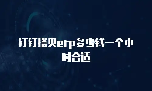 钉钉搭贝erp多少钱一个小时合适