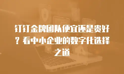 钉钉金牌团队便宜还是贵好？看中小企业的数字化选择之道
