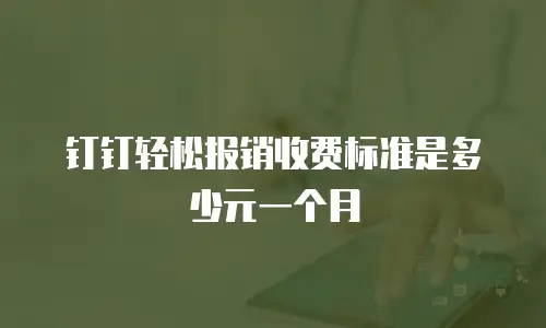 钉钉轻松报销收费标准是多少元一个月